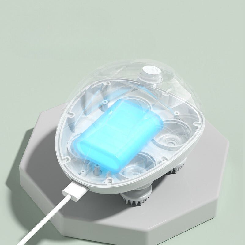 Masseur Pour Animaux Domestiques