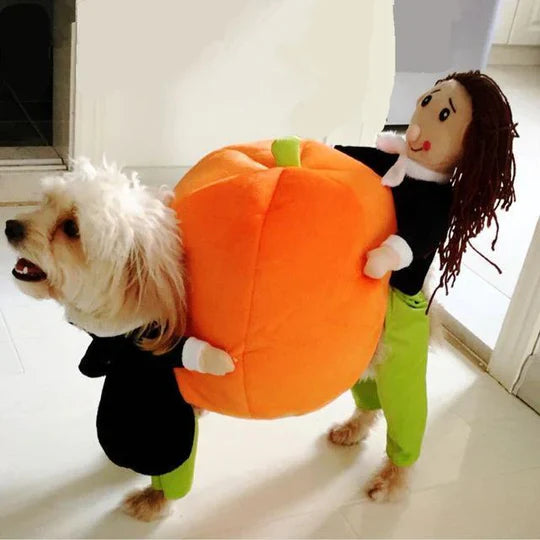 Costume D' Halloween de Citrouille pour Chiens