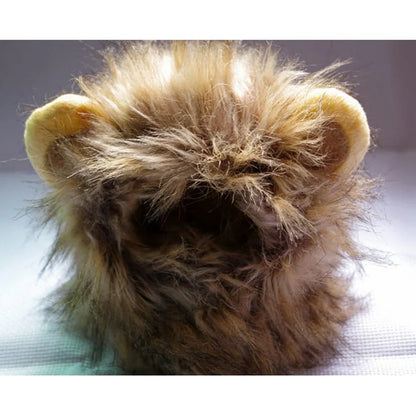 Costume De Crinière De Lion Pour Chat