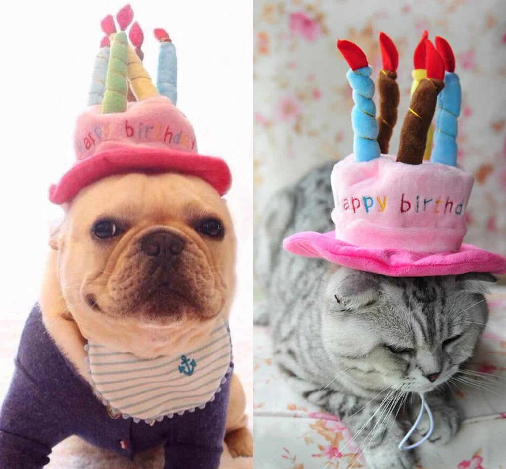 Chapeau De Fête Pour Chiens Et Chats