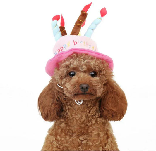 Chapeau De Fête Pour Chiens Et Chats
