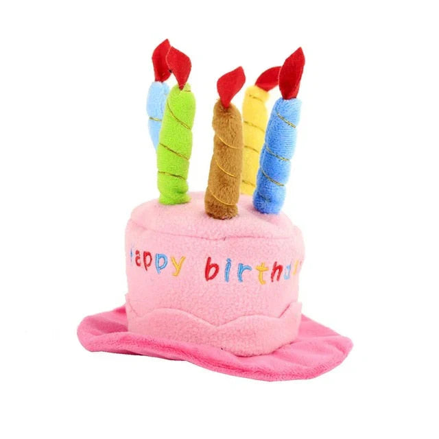 Chapeau De Fête Pour Chiens Et Chats