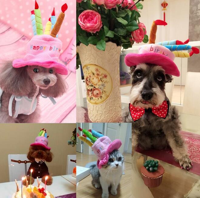 Chapeau De Fête Pour Chiens Et Chats