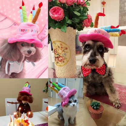 Chapeau De Fête Pour Chiens Et Chats