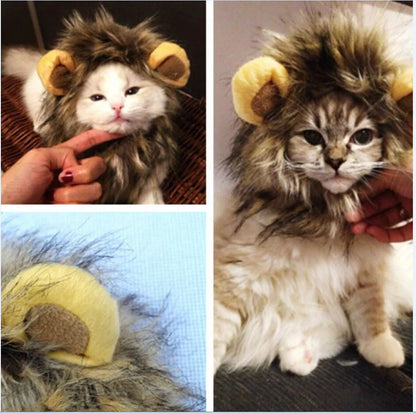 Costume De Crinière De Lion Pour Chat
