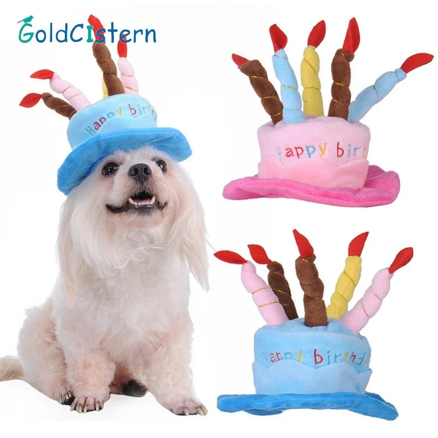 Chapeau De Fête Pour Chiens Et Chats