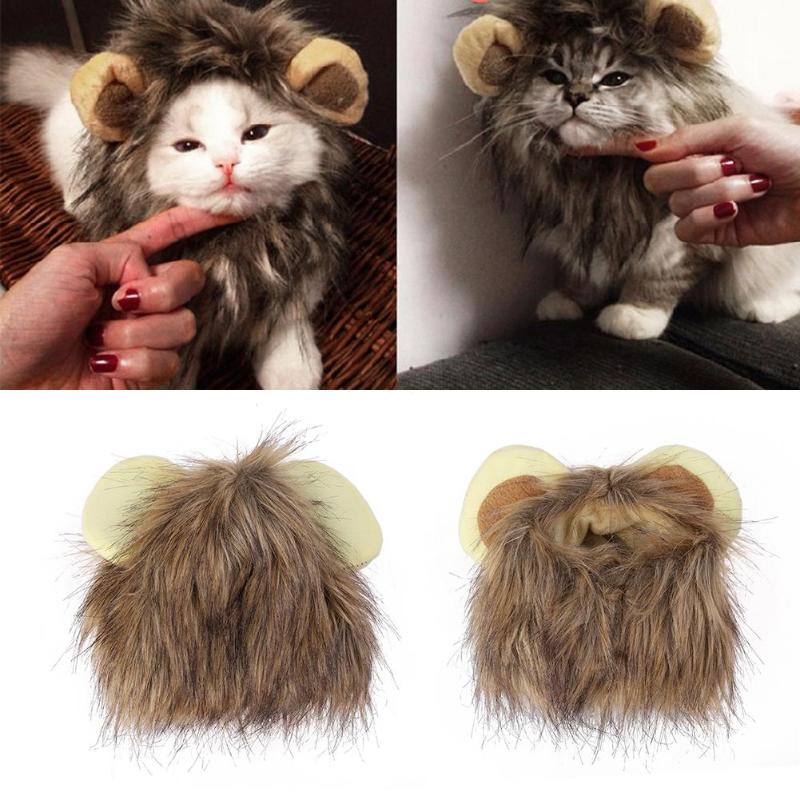Costume De Crinière De Lion Pour Chat