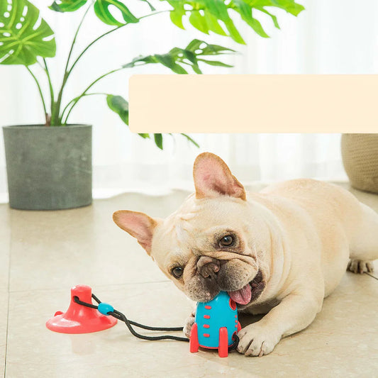 Jouets pour Chiens en Forme de Fusée - Jouets à Mâcher Interactifs pour Chiens