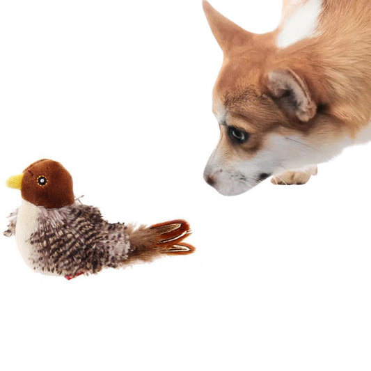Jouets Oiseaux Gazouillants Pour Chiens