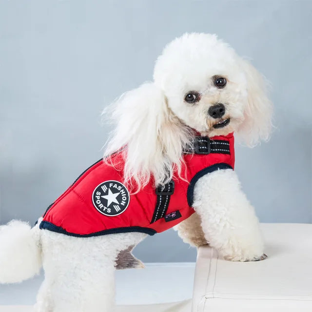 Veste Pour Chien Coupe-vent Et Imperméable Avec Harnais Intégré