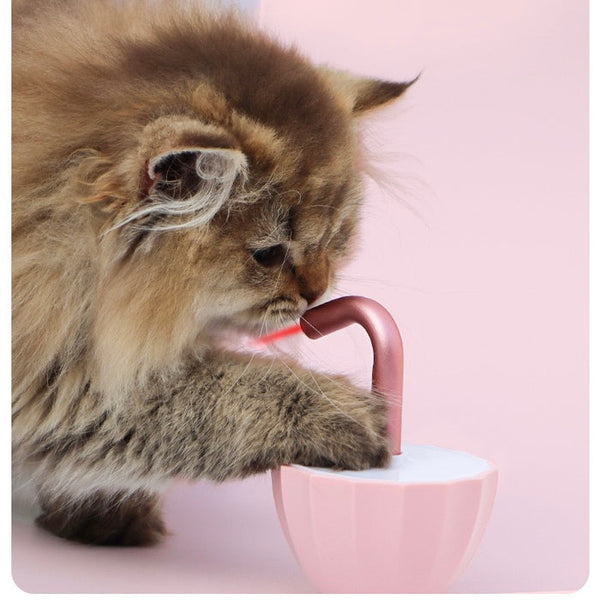 Jouet Laser Pour Chats