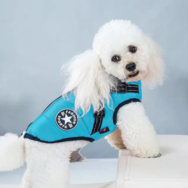 Veste Pour Chien Coupe-vent Et Imperméable Avec Harnais Intégré