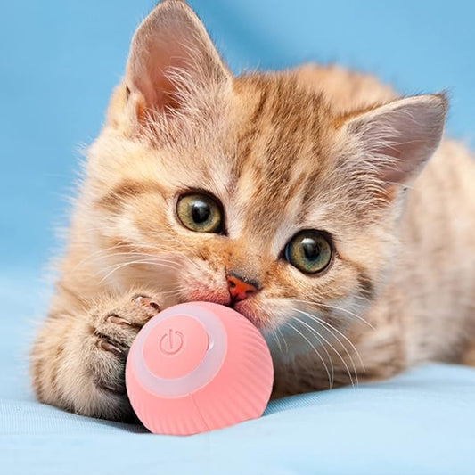 Balle De Jeu Interactive Pour Chats
